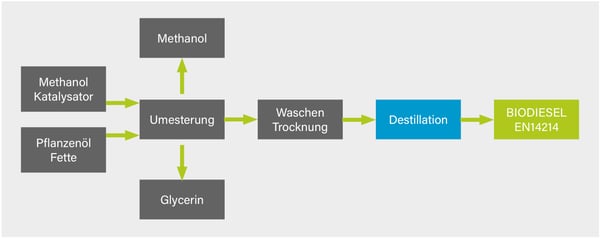 TechnikumBlog03-Abb06-DestillationBiodiesel_GIGKarasek